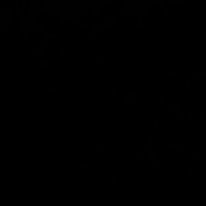 Meet your Posher, Danica